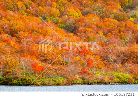Autumn Nekomagatake and Oguninuma trekking (autumn leaves of Oguninuma) Autumn Nekomagatake and Oguninuma trekking (autumn leaves of Oguninuma) 106157231