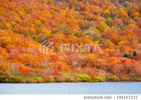 秋季的貓魔岳、小郡沼徒步旅行（小郡沼的紅葉） 106157235