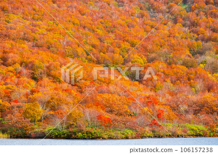 Autumn Nekomagatake and Oguninuma trekking (autumn leaves of Oguninuma) Autumn Nekomagatake and Oguninuma trekking (autumn leaves of Oguninuma) 106157238