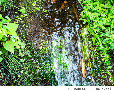 Background material Refreshing scenery of summer Clear spring water flow and small waterfall 106157331