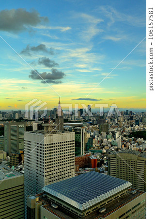 從東京都廳展望台看到的東京夜景 106157581