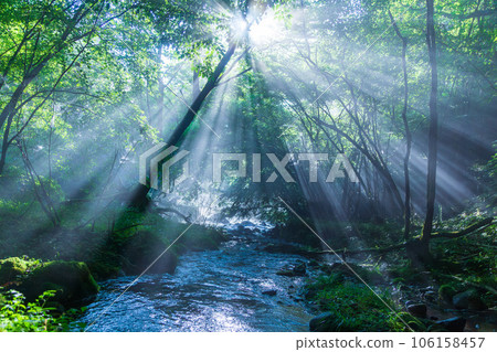 Beams of light in the clear stream near Odanuki Marsh Beams of light in the clear stream near Odanuki Marsh 106158457