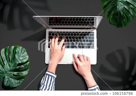Person using a laptop computer with tropical leaves Person using a laptop computer with tropical leaves 106158798