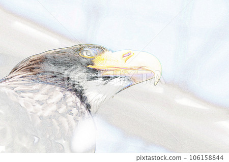 Pastel style "Steller's sea eagle's sharp eyes and beak" Illustration image 106158844