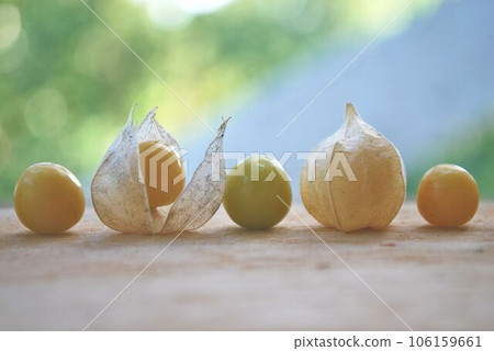 收穫的食用珩月 收穫的食用珩月 106159661