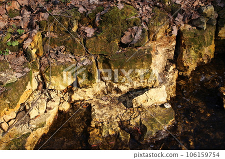 Outcrop of fractured layers of yellow marl on the river bank 106159754
