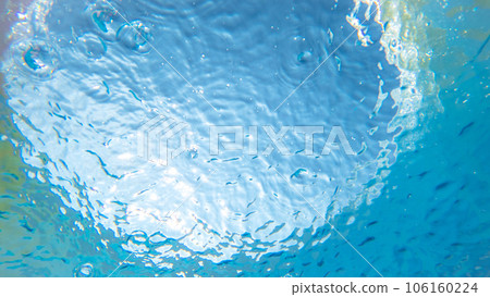 Image of summer colors floating on the surface of the water Image of summer colors floating on the surface of the water 106160224
