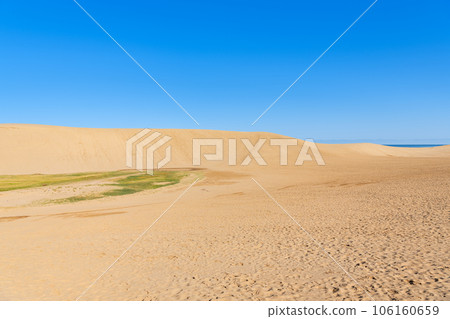 Tottori City, Tottori Prefecture, Tottori's representative tourist destination, sunny Tottori Sand Dunes (Umanose) Tottori City, Tottori Prefecture, Tottori's representative tourist destination, sunny Tottori Sand Dunes (Umanose) 106160659