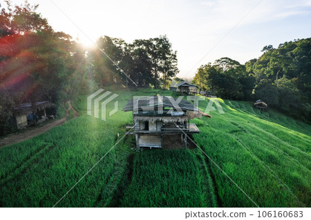 Fields on mountains in foggy morning Fields on mountains in foggy morning 106160683