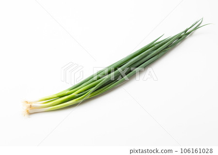 Leaf green onion Leaf green onion 106161028
