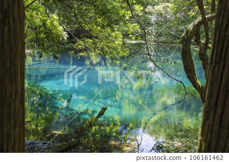 Mr. Maruike Yamagata Tourist Spot 106161462