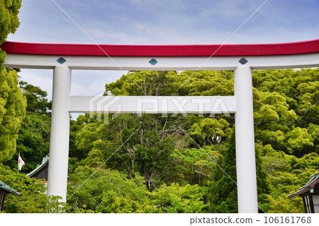 Red and white torii of Kamakura Shrine (Nikaido, Kamakura City, Kanagawa Prefecture) Red and white torii of Kamakura Shrine (Nikaido, Kamakura City, Kanagawa Prefecture) 106161768
