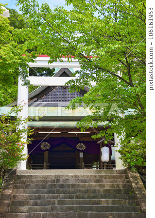 The main hall of Kamakura Shrine and its red and white torii gates (Nikaido, Kamakura City, Kanagawa Prefecture) 106161953
