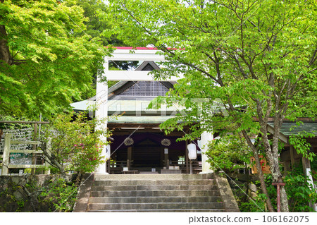 鎌倉神社的正殿及其紅白鳥居(神奈川縣鎌倉市二階堂) 鎌倉神社的正殿及其紅白鳥居(神奈川縣鎌倉市二階堂) 106162075