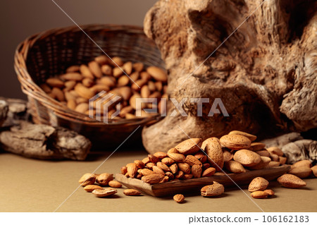 Still life with fresh-cropped almonds and old snags. 106162183