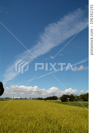 A contrail that extends in the summer sky A contrail that extends in the summer sky 106162191