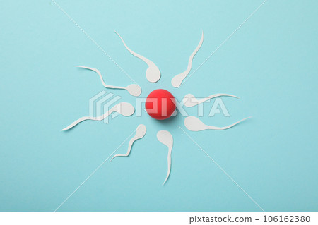 Fertilization concept, ovulation period, sperm and egg. Fertilization concept, ovulation period, sperm and egg. 106162380