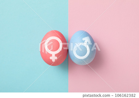 The concept of fertilization, the period of ovulation, determining the sex of the child. Gender. 106162382