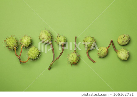 Green chestnut fruits on a green background 106162751