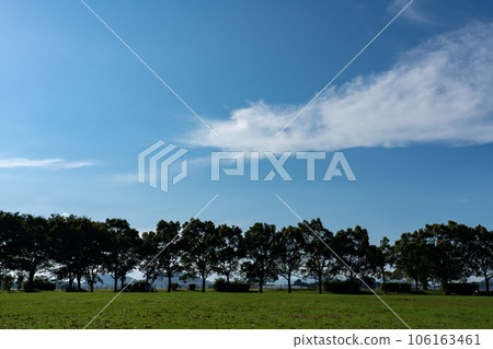 草地和夏日天空複製空間 106163461