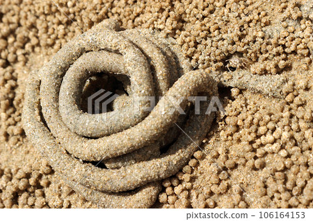 The dung of sea worms 7 106164153
