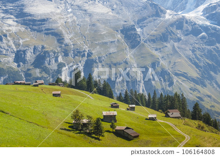 Traditional alpine village in touristic valley Lauterbrunnen, Switzerland attraction 106164808