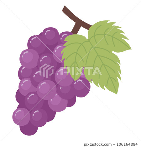 cute grape illustration 106164884