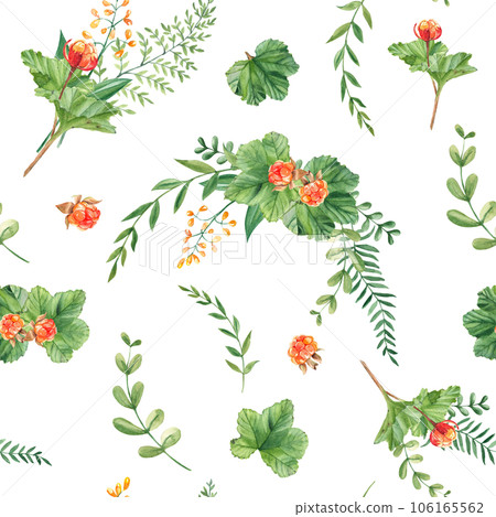 Seamless watercolor pattern with cloudberry leaves and berries, fern, green branches, yellow wildflowers. Botanical summer hand drawn illustration. Can be used for gift wrapping paper, kitchen textile 106165562