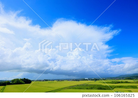 廣闊的鄉村景觀 106165825