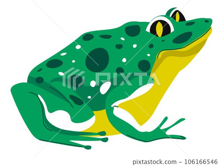 Toad or frog, amphibian animal wildlife vector 106166546