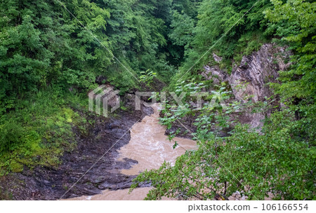 Muddy water flow of a stormy river among the green forest of a mountain gorge. 106166554
