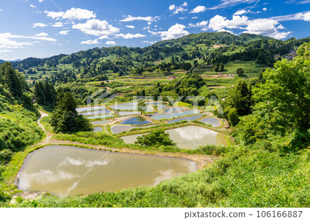 《新潟縣》山越的梯田,夏季梯田的原始景觀 《新潟縣》山越的梯田,夏季梯田的原始景觀 106166887