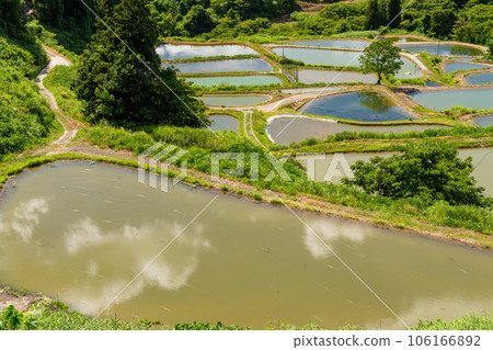 《新潟縣》山越的梯田,夏季梯田的原始景觀 《新潟縣》山越的梯田,夏季梯田的原始景觀 106166892