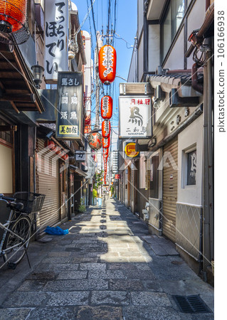 Osaka Minami early morning Hozenji Yokocho summer 106166938