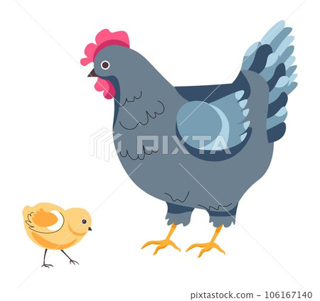 Hen and small chick, chicken breeding on farm Hen and small chick, chicken breeding on farm 106167140