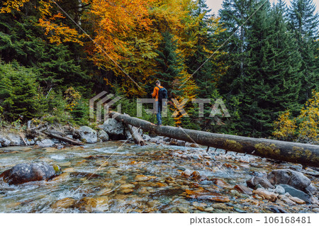 Hiker walk on a log over the river in autumnal forest. Mountain river and hiker traveller 106168481