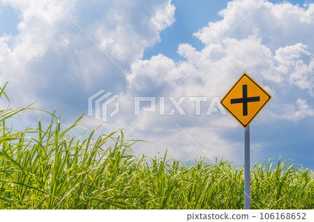 藍天、甘蔗田和路口標誌 106168652