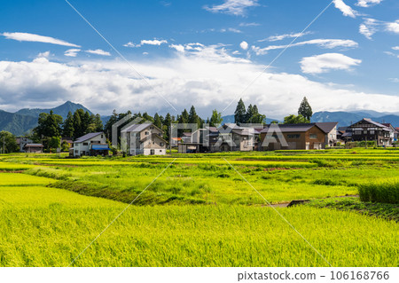 “新潟縣”夏季田園風光、南魚沼 106168766