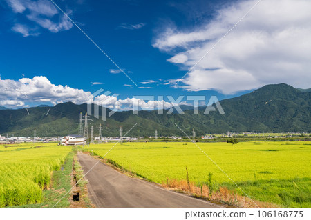 “新潟縣”夏季田園風光、南魚沼 106168775