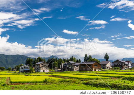 “新潟縣”夏季田園風光、南魚沼 106168777