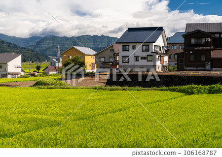 "Niigata Prefecture" summer rural scenery, Minamiuonuma 106168787