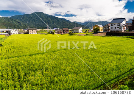 "Niigata Prefecture" summer rural scenery, Minamiuonuma "Niigata Prefecture" summer rural scenery, Minamiuonuma 106168788