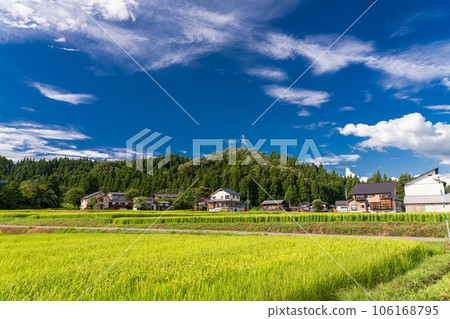 “新潟縣”夏季田園風光、南魚沼 106168795
