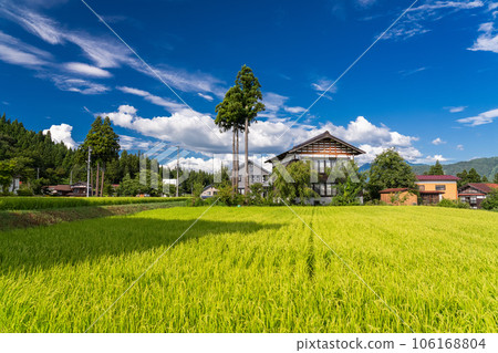 "Niigata Prefecture" summer rural scenery, Minamiuonuma 106168804