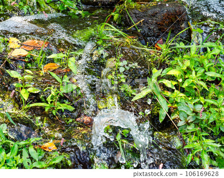 Refreshing scenery in summer, the clear murmuring of abundant spring water Refreshing scenery in summer, the clear murmuring of abundant spring water 106169628