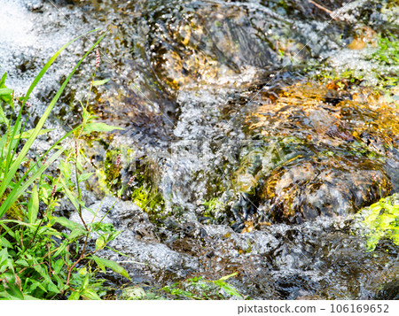 Refreshing scenery in summer, the clear murmuring of abundant spring water Refreshing scenery in summer, the clear murmuring of abundant spring water 106169652
