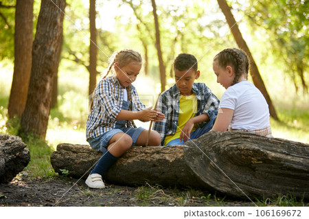 Children, boy and girl sitting on lo in forest on warm sunny day, playing, having fun, enjoying nature 106169672