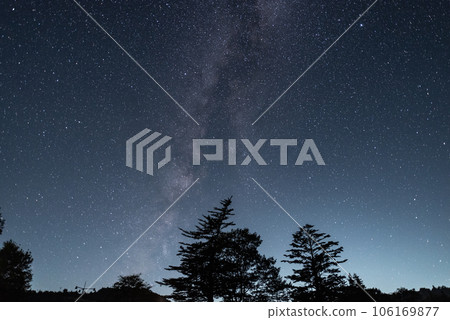 Milky Way in the forest 106169877
