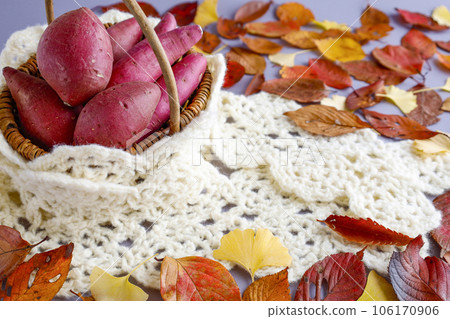 Various kinds of sweet potatoes in a basket Warm image Background of fallen leaves Various kinds of sweet potatoes in a basket Warm image Background of fallen leaves 106170906