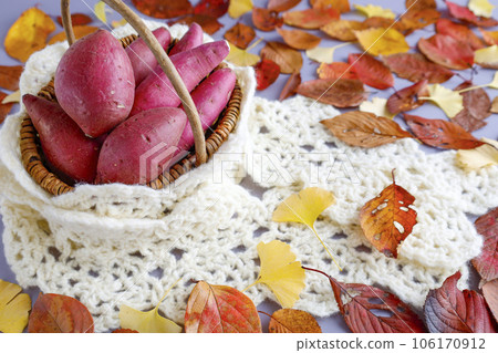 Various kinds of sweet potatoes in a basket Warm image Background of fallen leaves Various kinds of sweet potatoes in a basket Warm image Background of fallen leaves 106170912